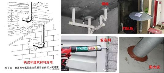 4月愛國衛(wèi)生月:哪些老鼠飛檐走壁擅游泳?專業(yè)人士指點(diǎn)滅鼠高招